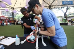 Quezon City LGU maglulunsad ng vet training program